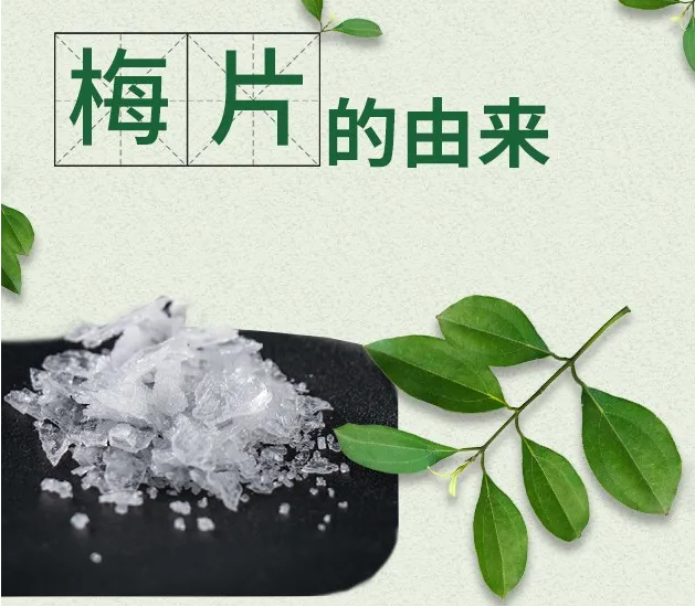 珍稀梅片的歷史演變