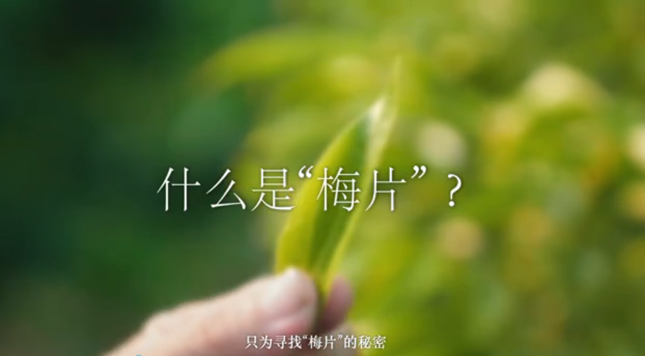 敏肌新突破丨華清園自研瑰寶“梅片”